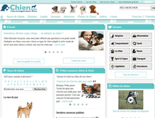 Tablet Screenshot of chien.com